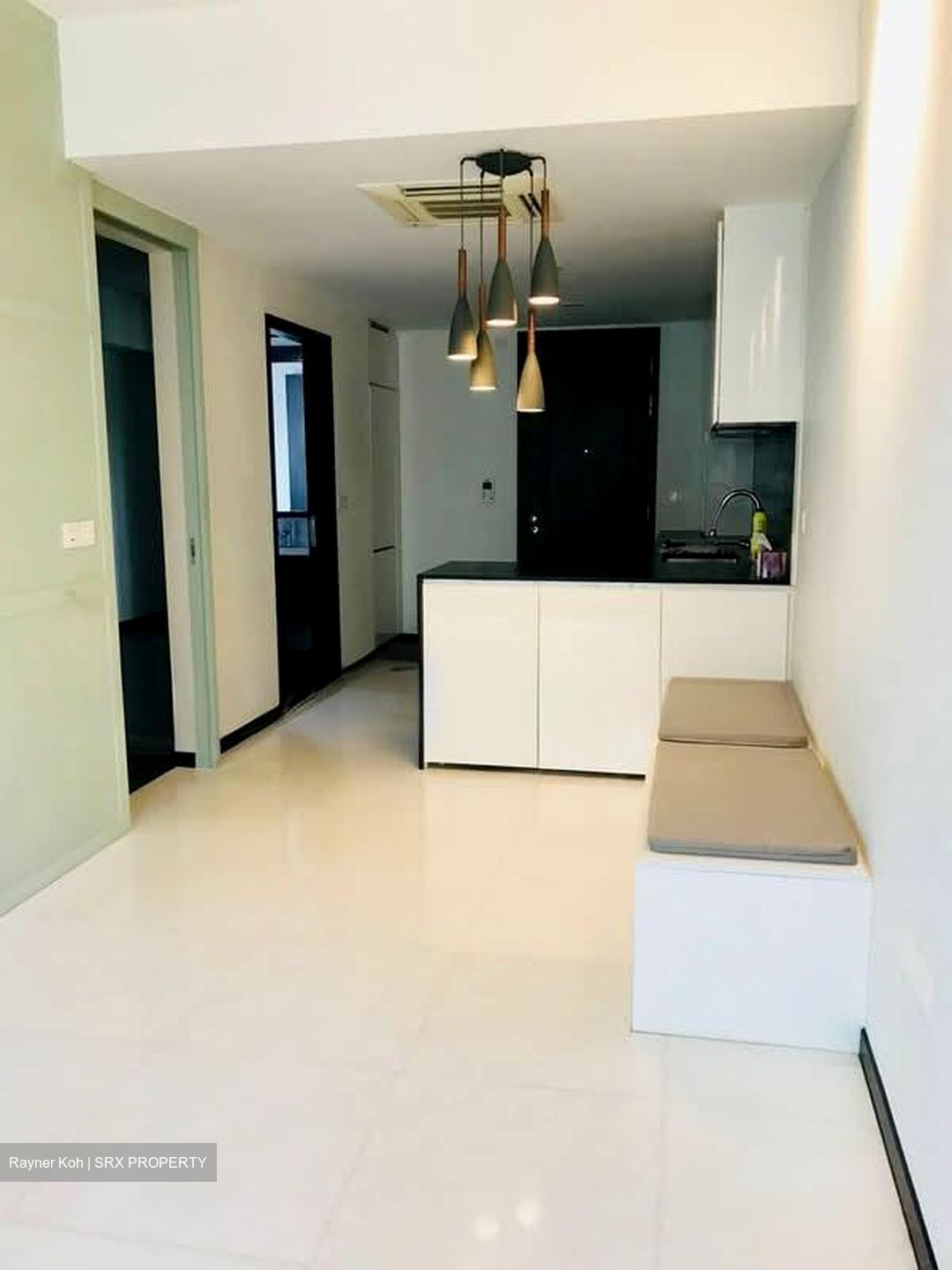 1919 (D9), Apartment #538053941